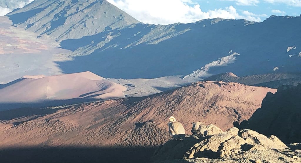 View inside the volcanic crater at Haleakala Summit