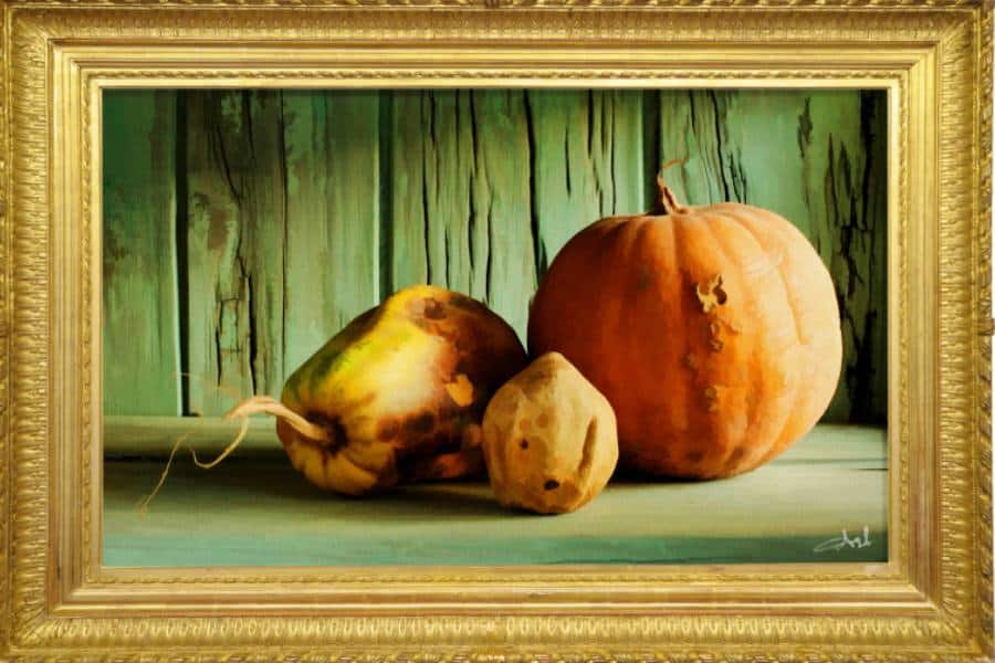 vintage framed artwork