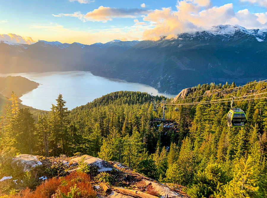 gondolas over evergreens with view of lake and mountains