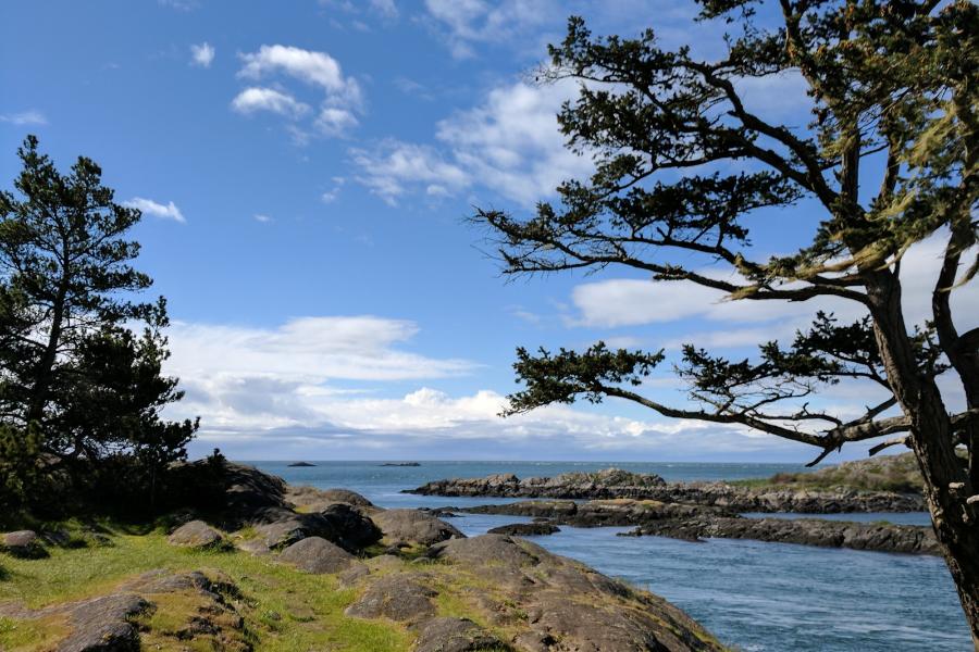 beach and ocean at Lopez Island