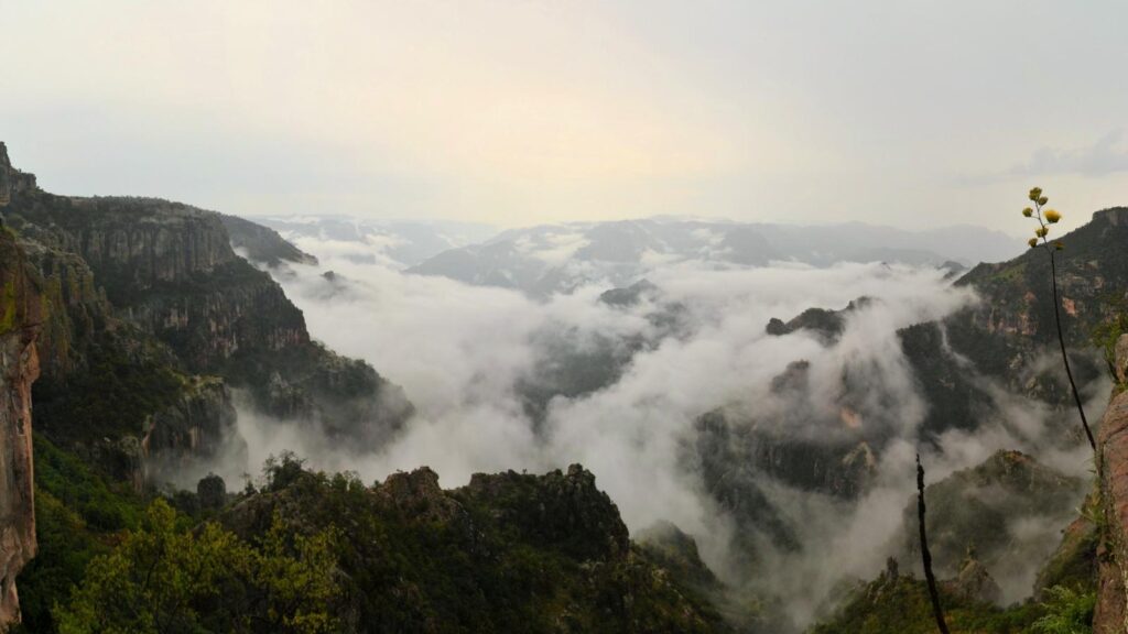 Copper Canyon Mexico