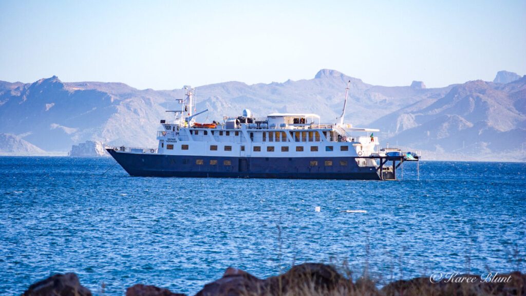 Uncruise Adventures - Safari Voyager