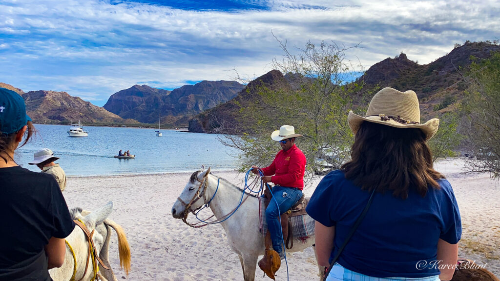 Uncruise Adventures - Safari Voyager - mule rides