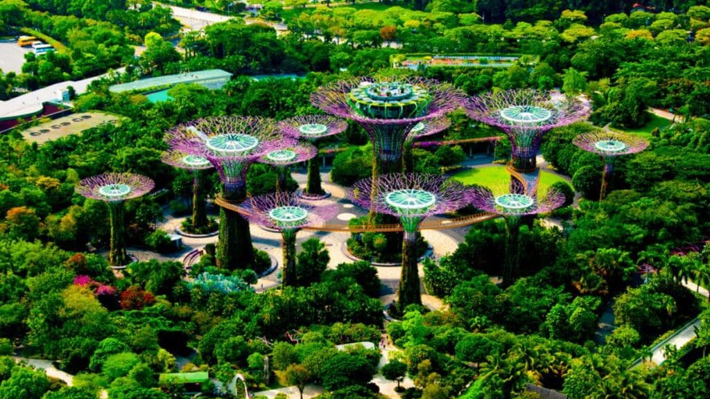 Singapore - DP