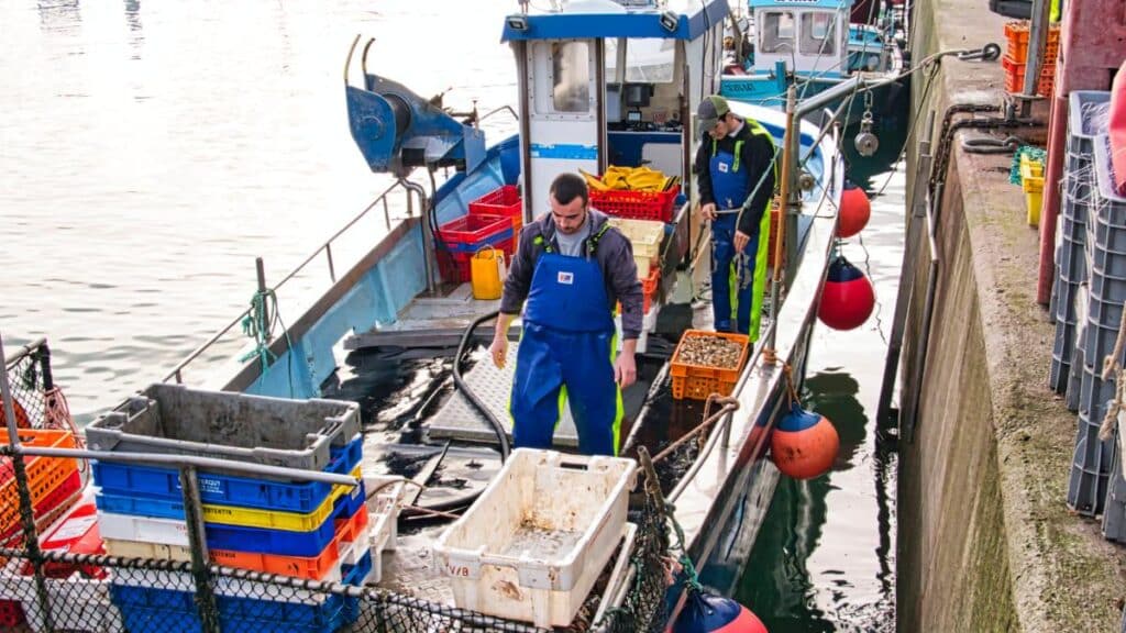 commercial fisherman