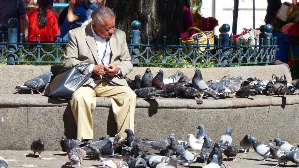 man in Mexico feeding pigeons