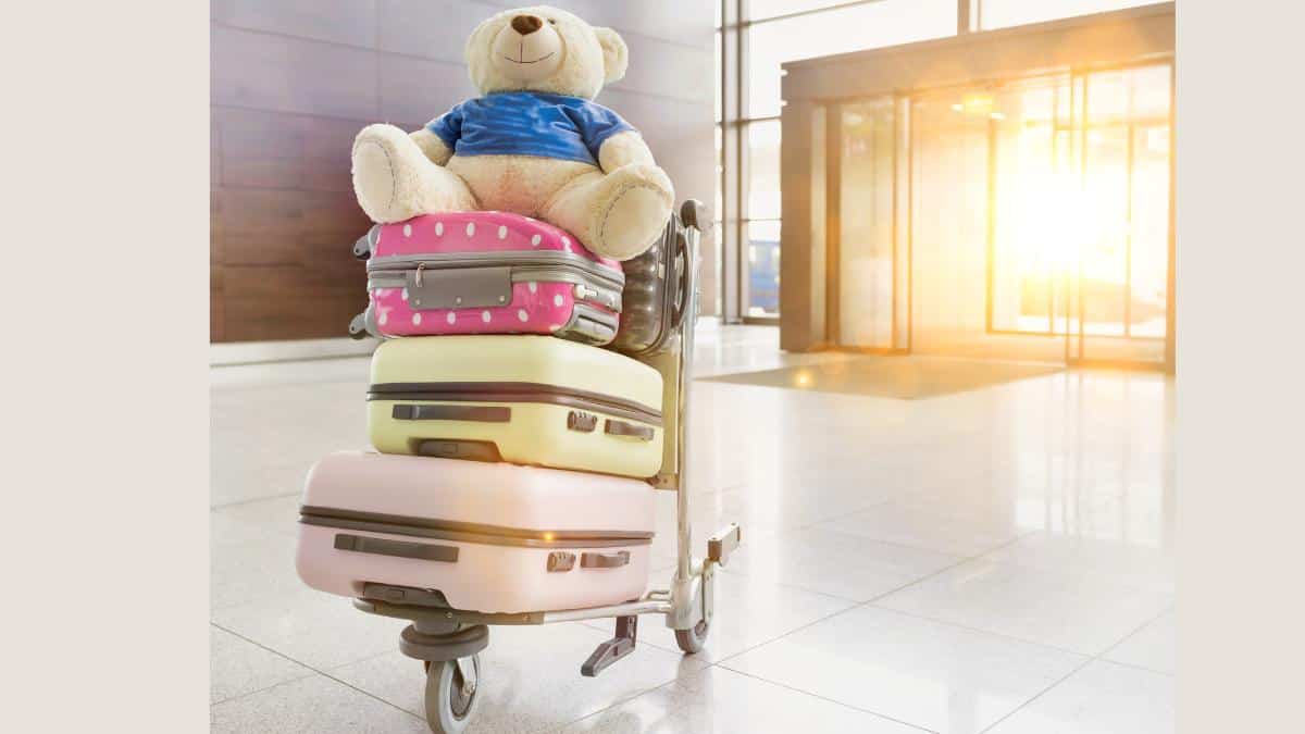 suitcases with teddy bear on top