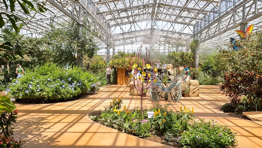 Butterfly Exhibit - Scottsdale