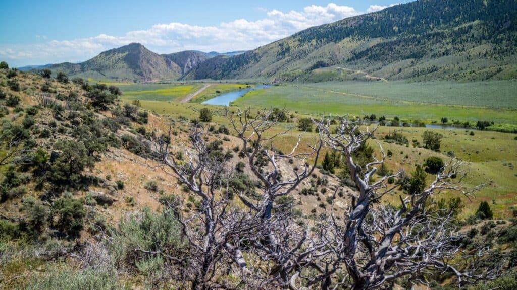 view of landscape - DP