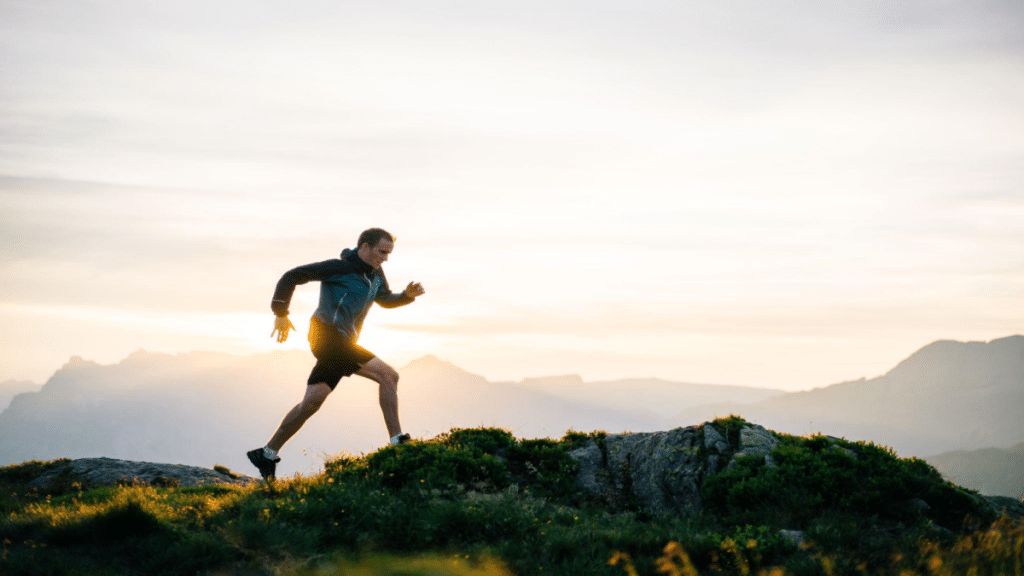Finding purpose