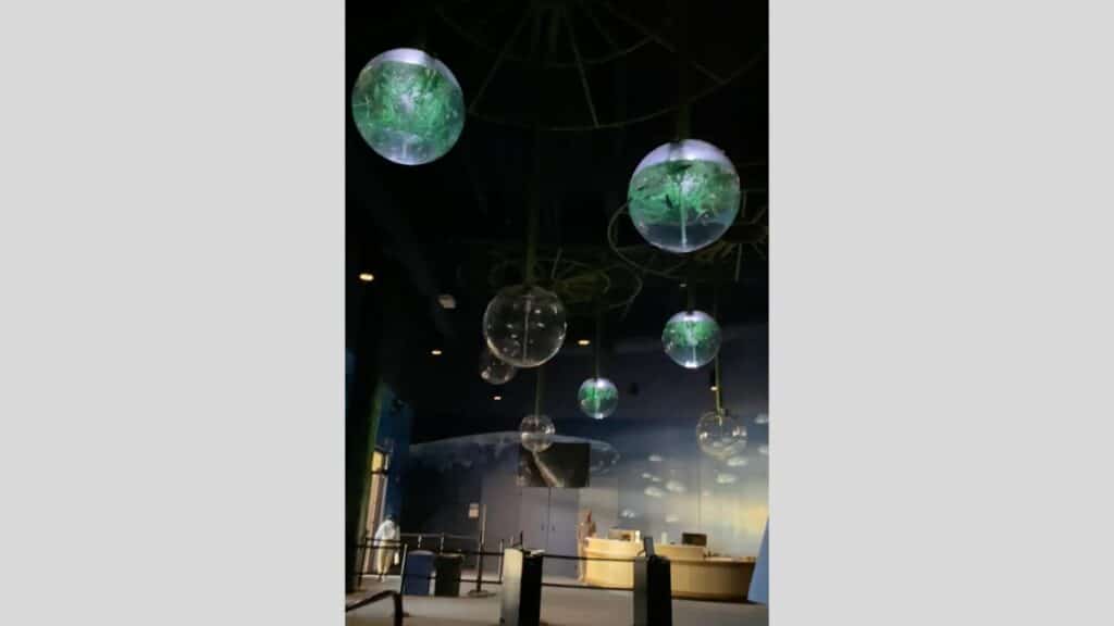 Odysea Aquarium Lobby