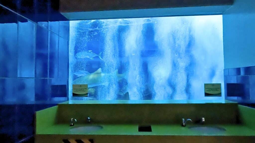 Odysea Aquarium bathroom 1