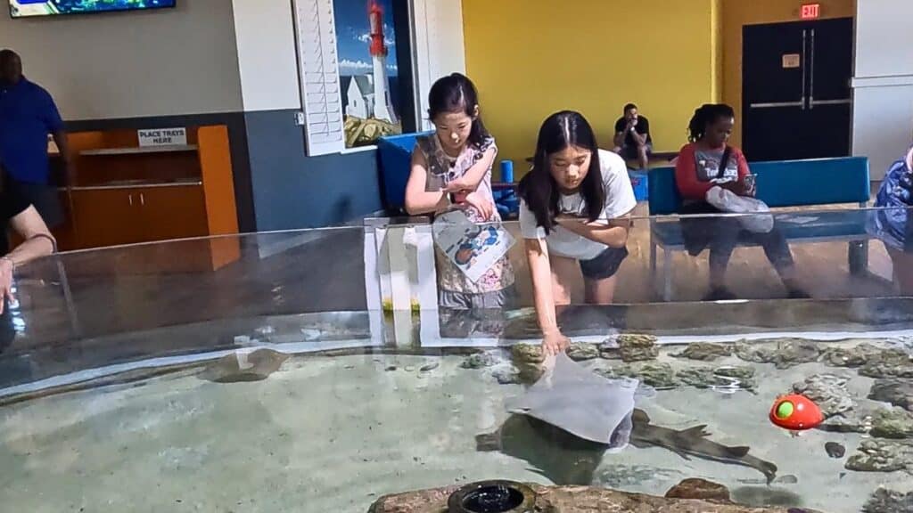 Odysea Aquarium touch pools