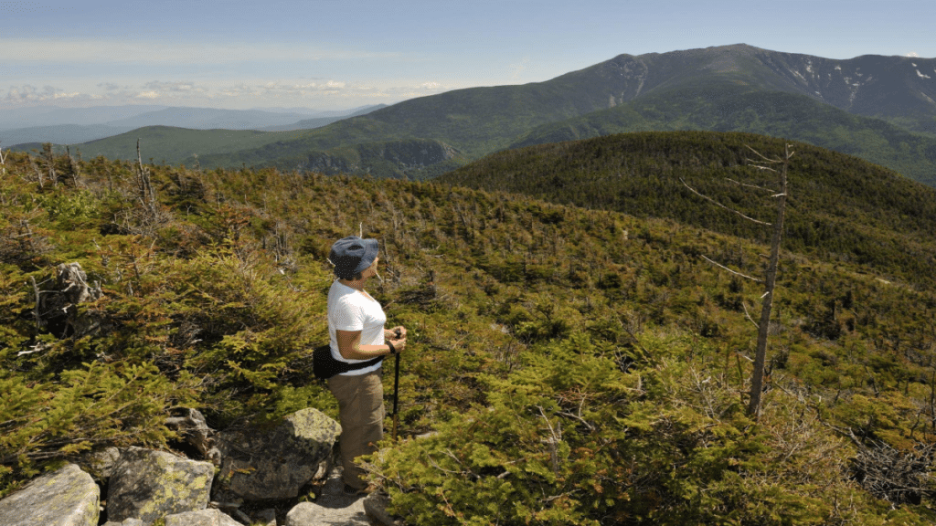 The Trail Has Its Own Unique Vocabulary