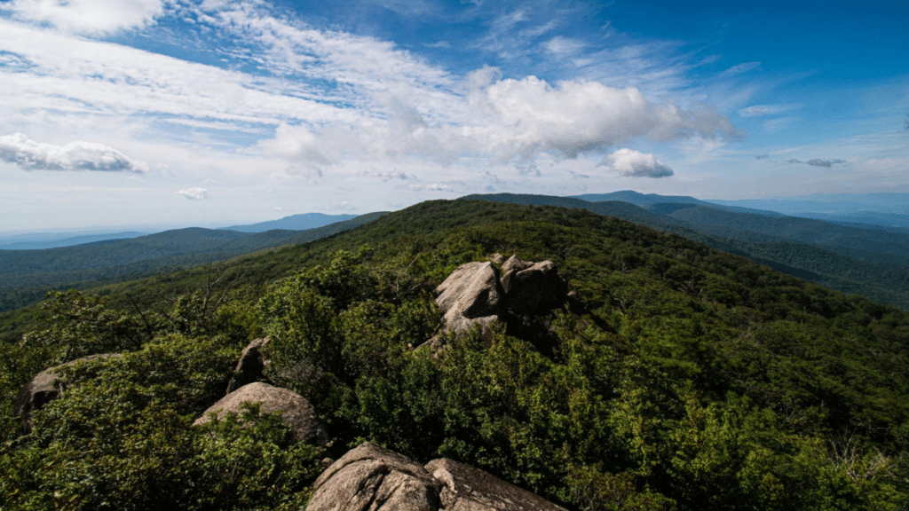 The Trail for Scenic Views