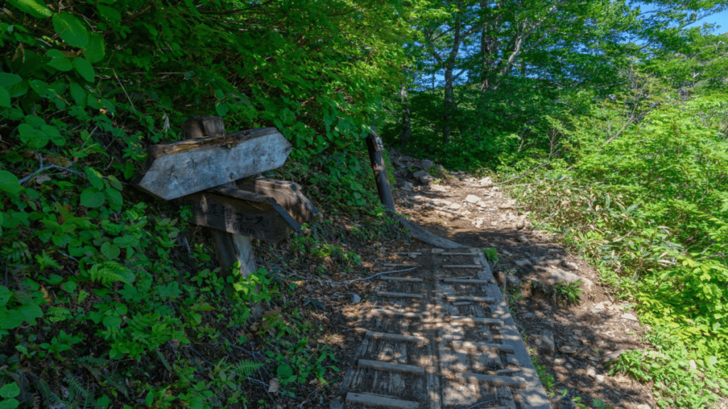 The Trail's Maintenance