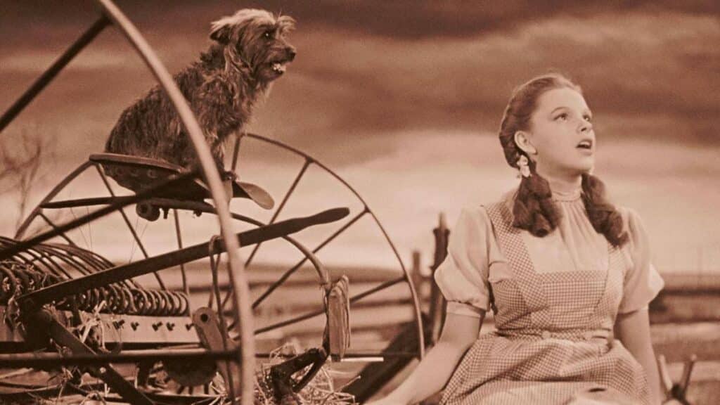Wizard of Oz