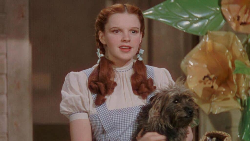 Wizard of Oz