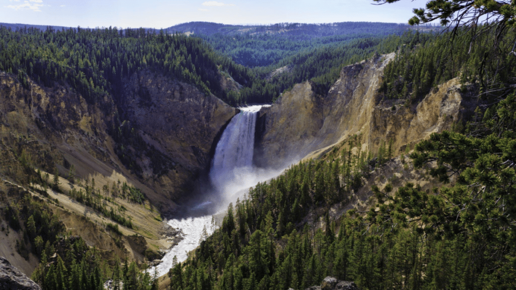 Lower Yellowstone Falls