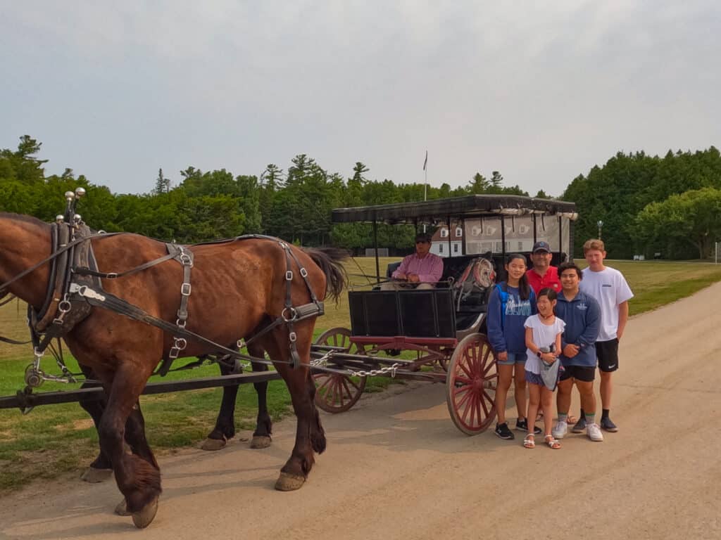 horse drawn carriage