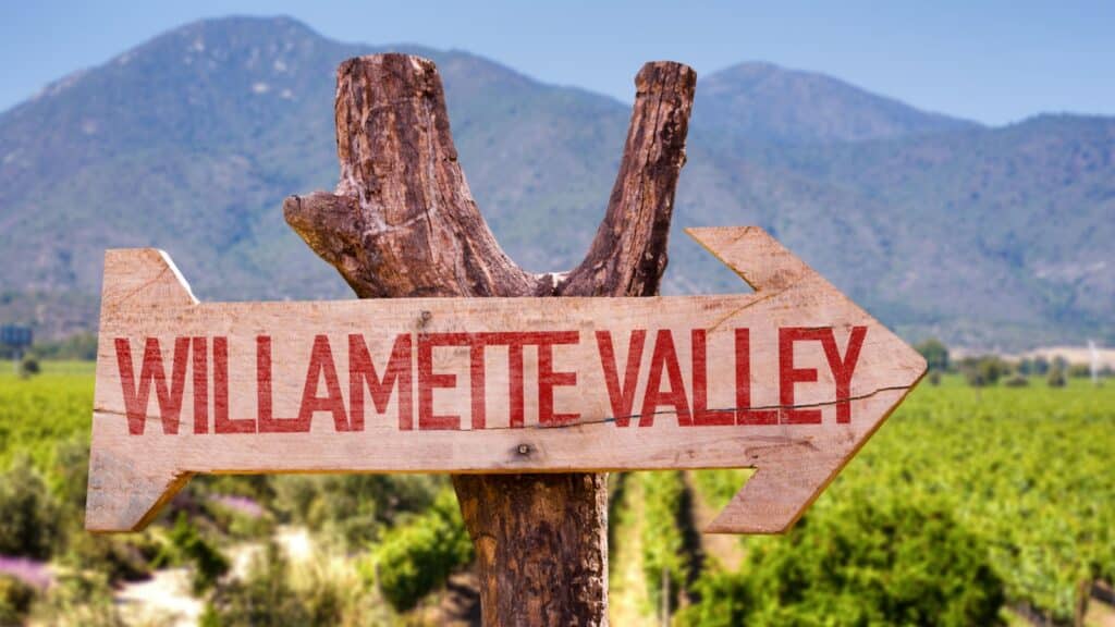 Willamette Valley wine vinyard